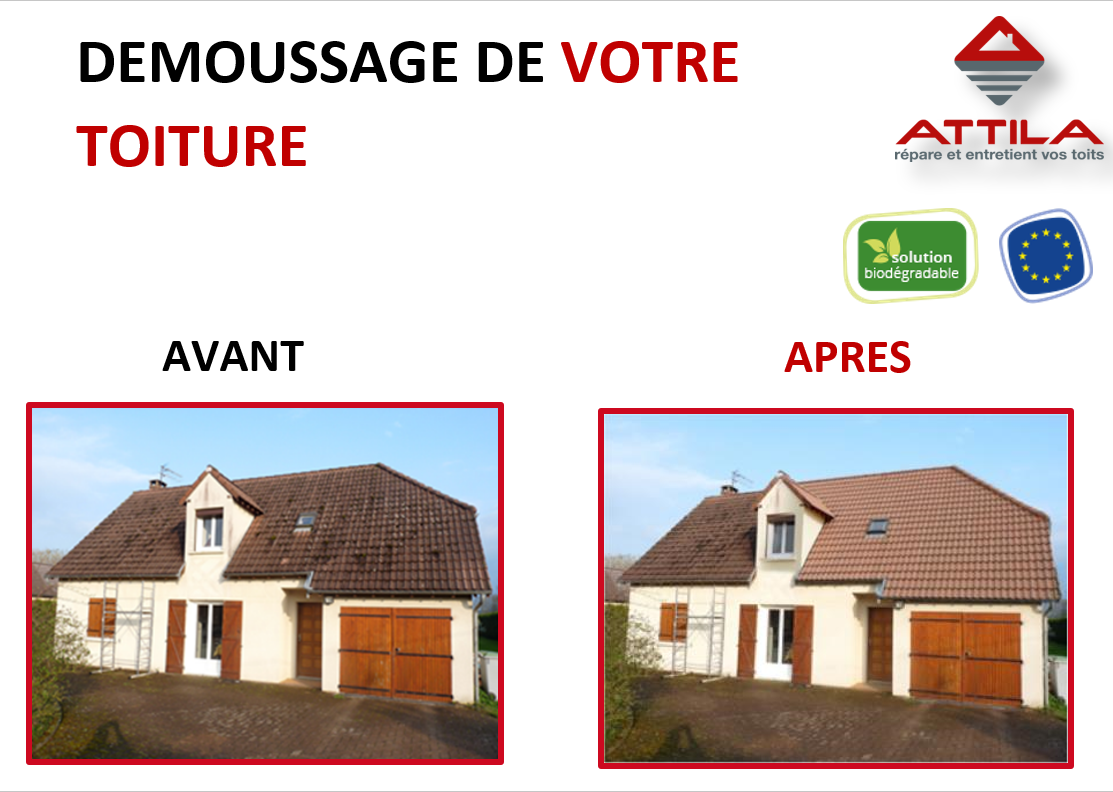 demoussage-de-votre-toiture