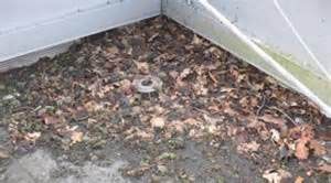 le contrat d'entretien