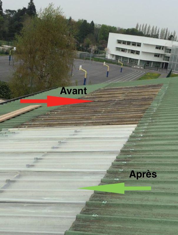 Remplacement des plaques translucides sur Tournan-en-Brie