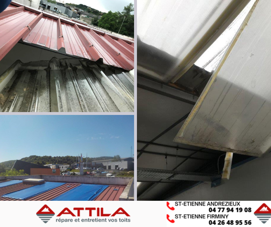 La réactivité Attila au service de votre capital toit 