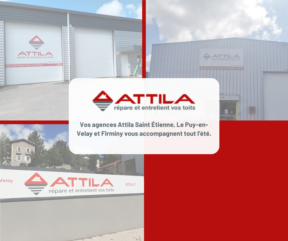 Organisation vacances d'été