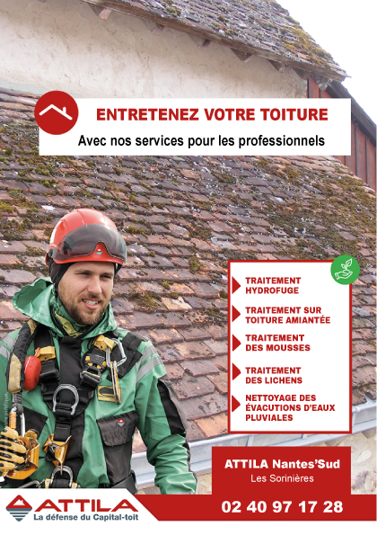 TRAITEMENT DE TOITURES