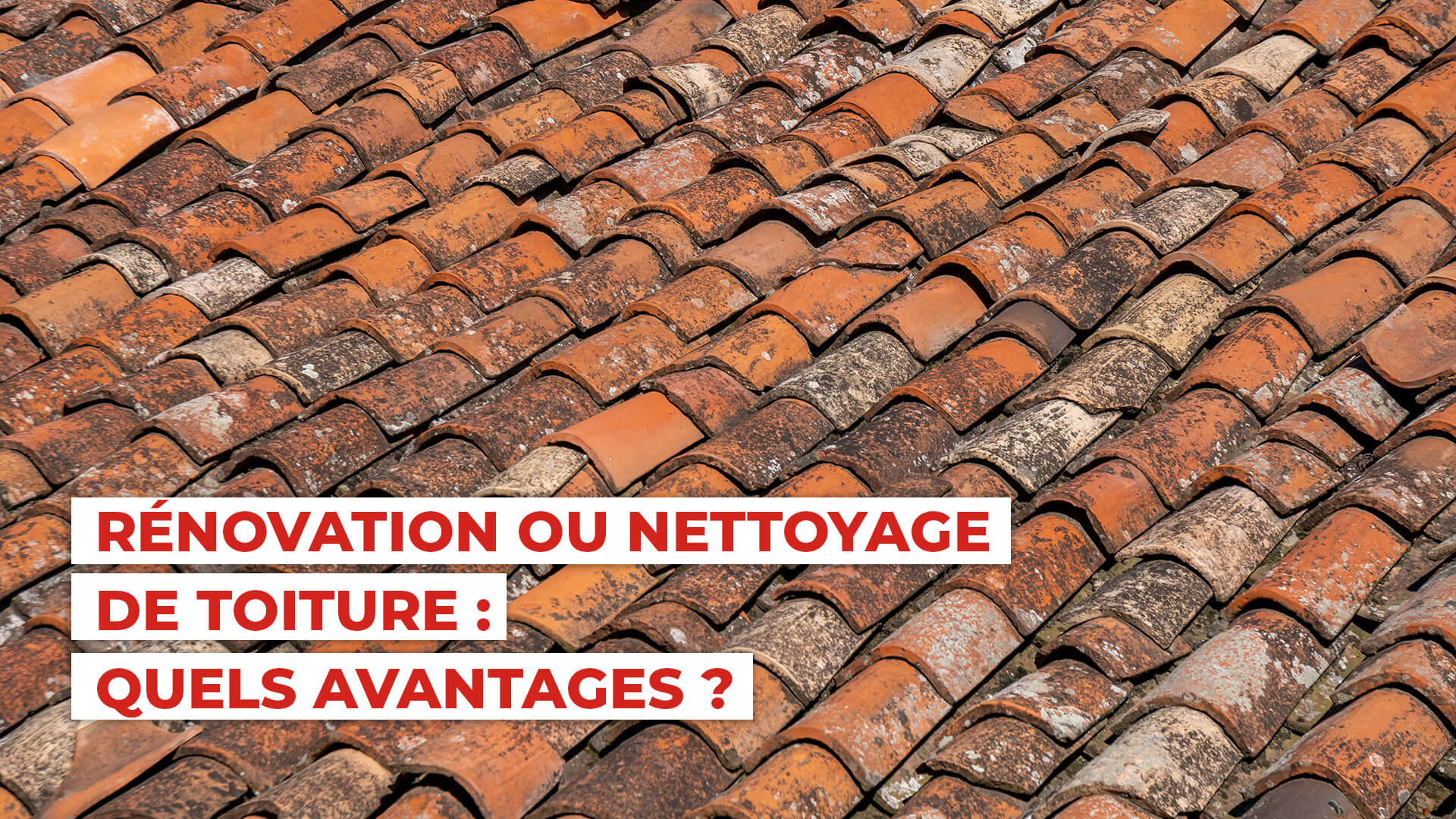 Toiture à entretenir