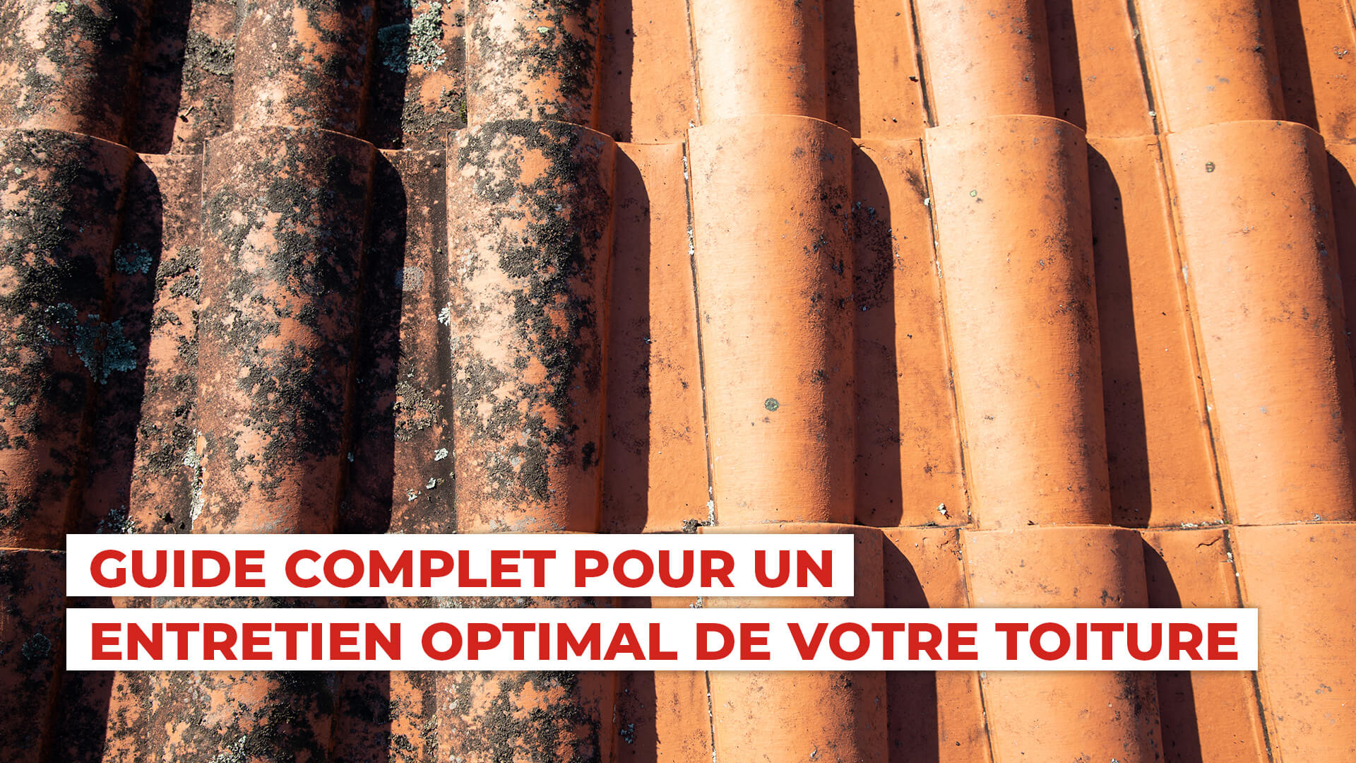 Guide l'entretient des toitures