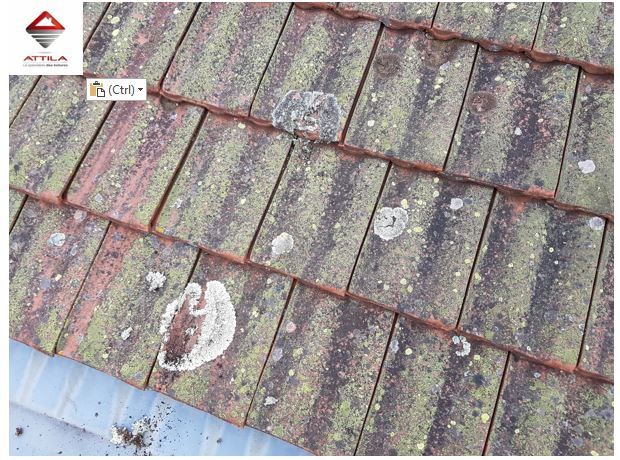 demoussage attila roanne