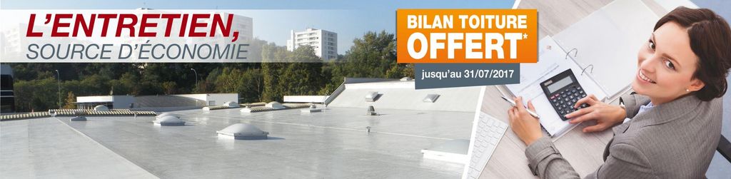 entretien-toiture-industrielle-traditionnelle-Seine-et-Marne-77