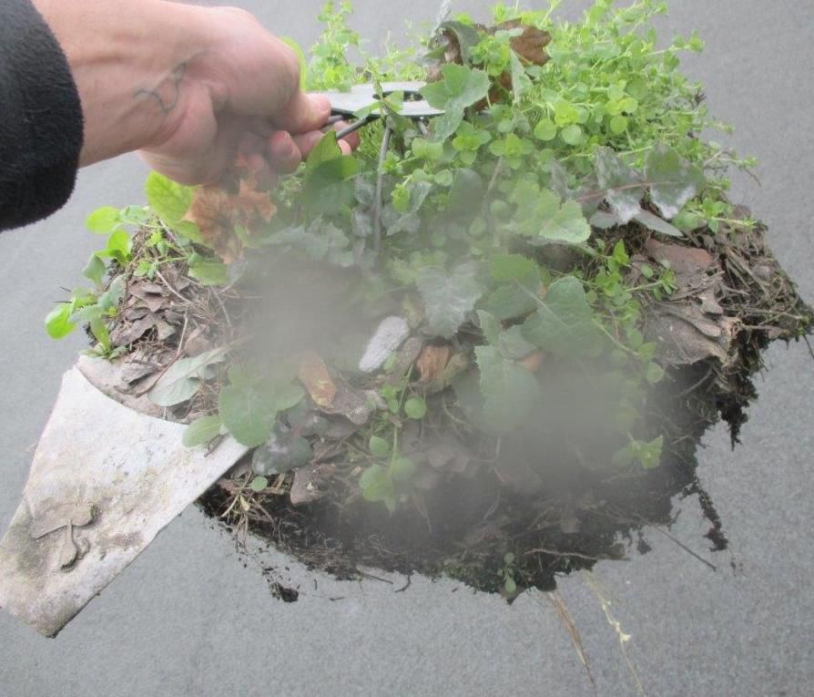 Évacuation-eau-pluviale-infestée-de-végétaux-Seine-et-Marne