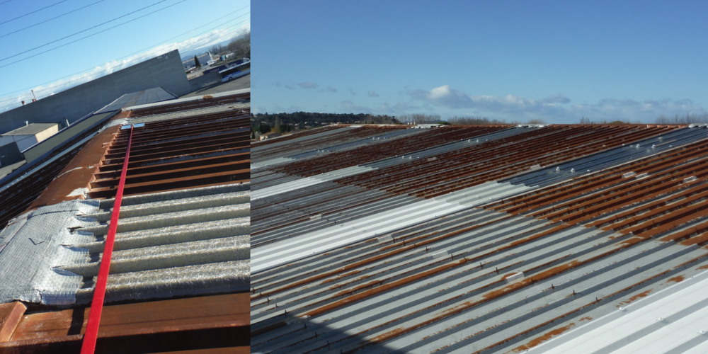 Ligne de vie temporaire