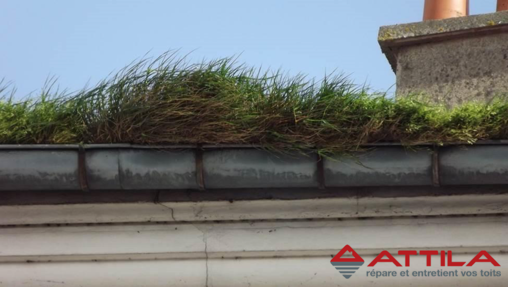 Entretien-gouttière-Seine-et-Marne-77