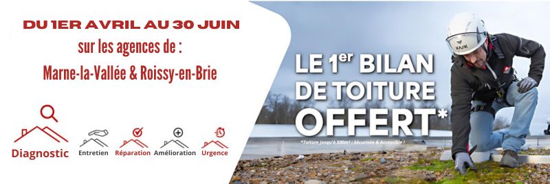 Premier Bilan toiture offert 77