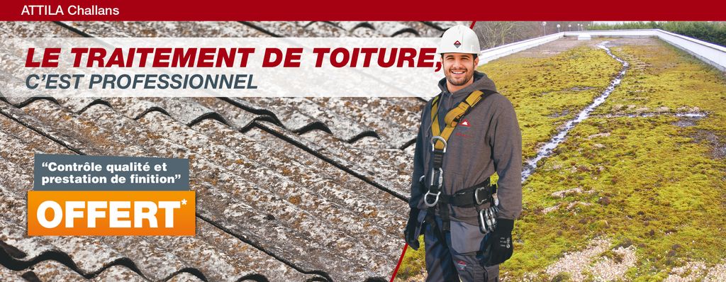 campagne_entretien_démoussage_toiture_challans_vendée