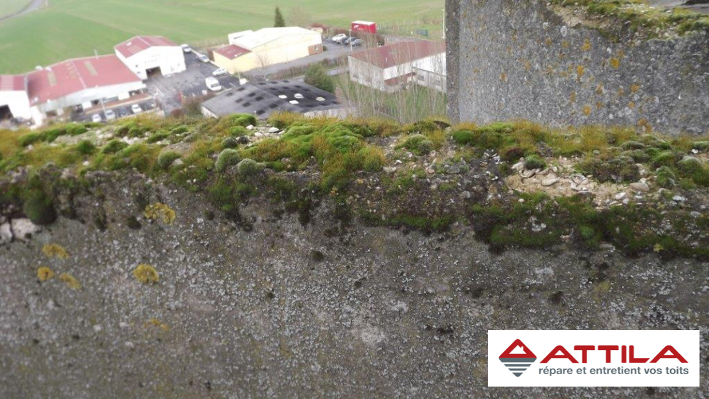 Acrotère-sans-couvertine-77