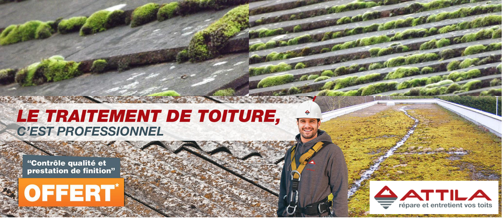 Offre-spéciale-traitement-de-toiture