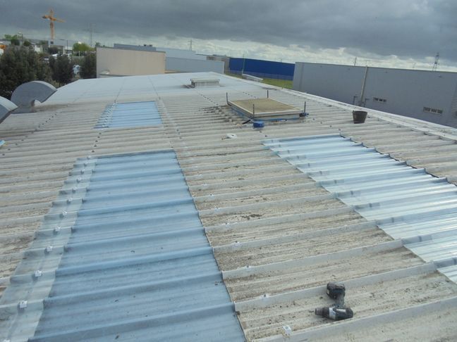 POSE DE NOUVEAUX TRANSLUCIDES