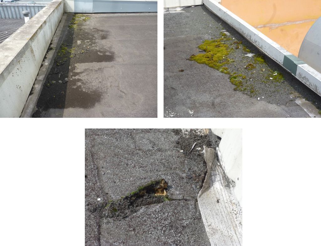 membrane bitumineuse détériorée