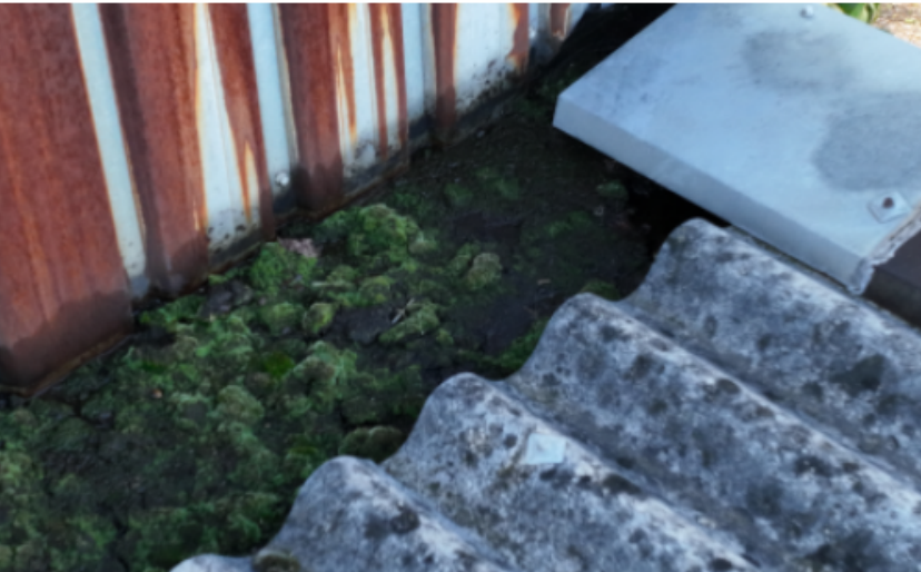 toiture nettoyage seine et marne