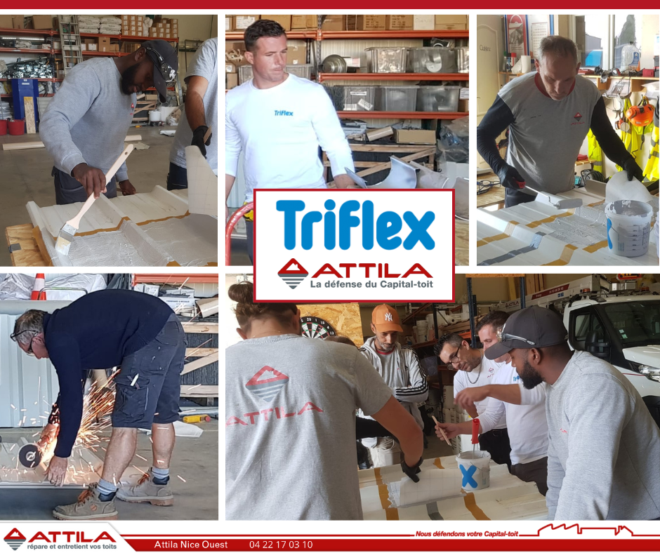 Formation Triflex