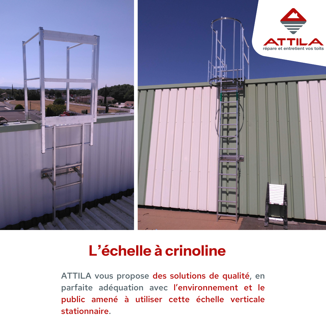 Echelle à crinoline MADY sur le site de Cartonnage Bes à Grignan