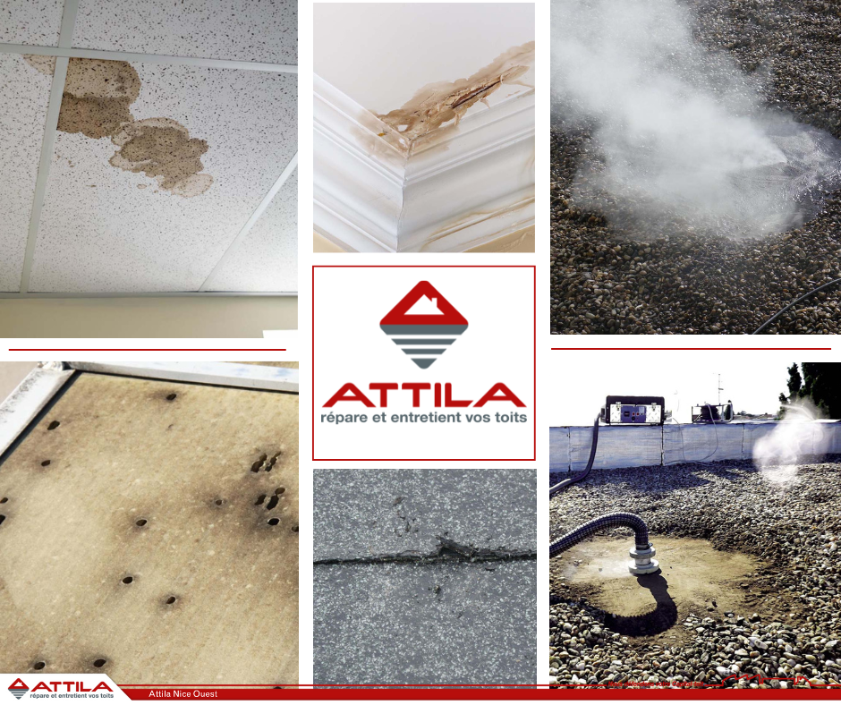 Diagnostic Infiltration avec Attila