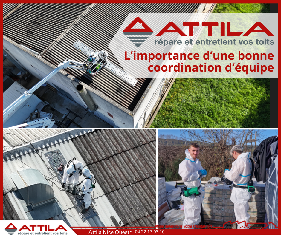coordination equipe attila