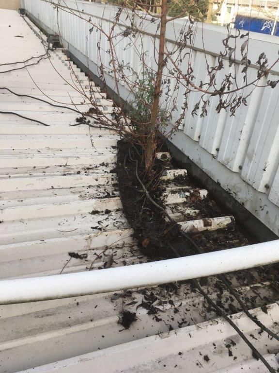 Infiltration-eau-toiture-industrielle-77