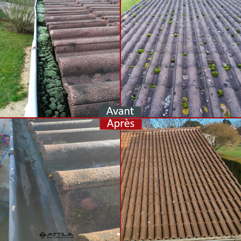 Démoussage toiture et nettoyage de gouttières