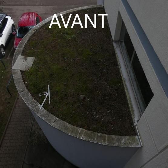 toit-terrasse-couvert-mousse-Lyon