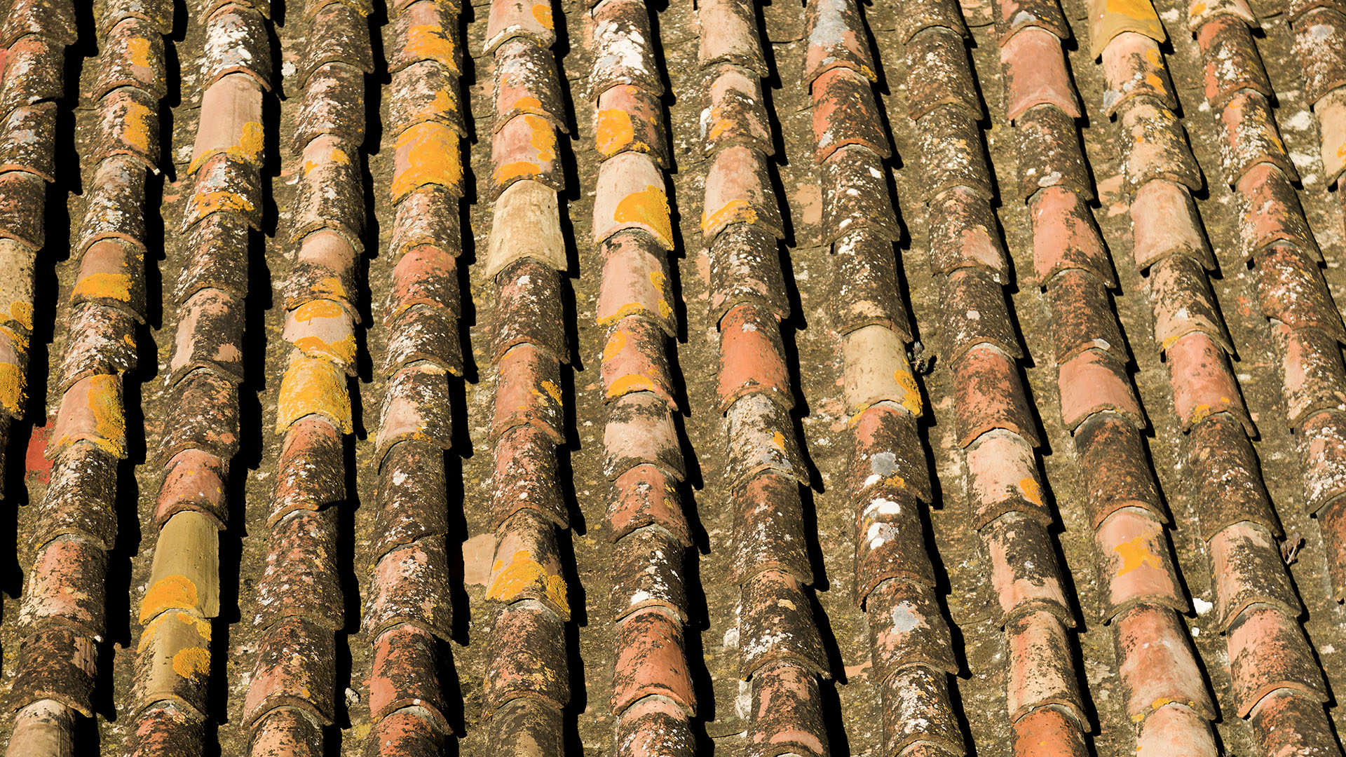 Les causes les plus courantes des fuites de toiture