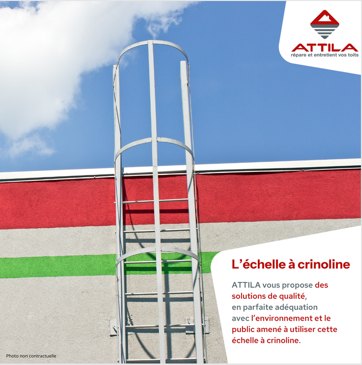 Echelle à crinoline
