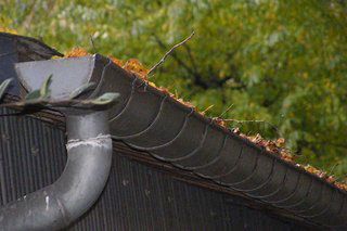 coude_descente_eau_pluviale_Lyon