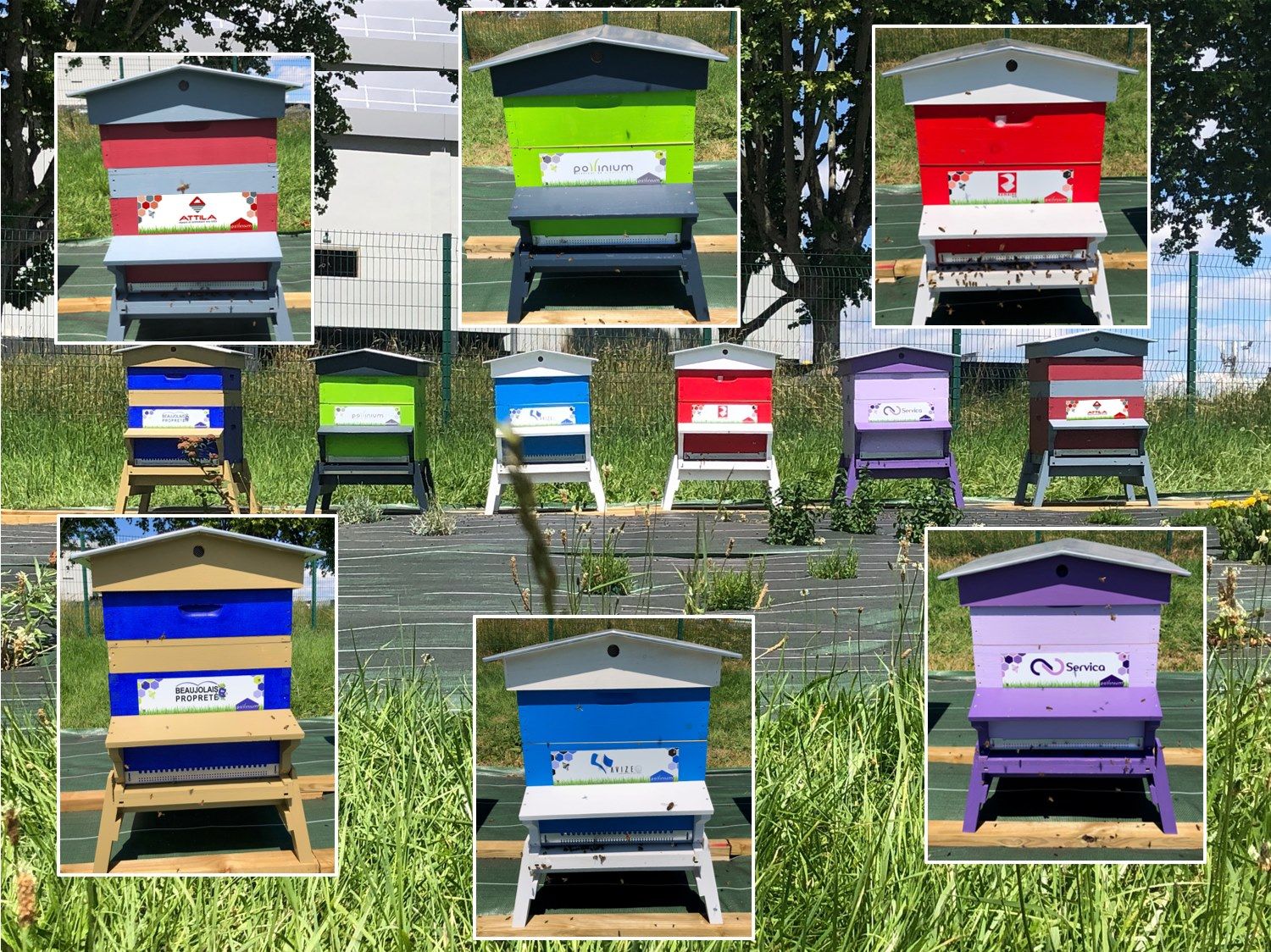 La ruche Attila Villefranche