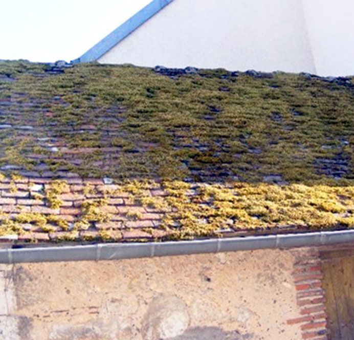 demoussage_toiture_tuiles_Lyon_Nord-Ouest