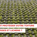 protéger votre toiture des mousses et lichens protéger votre toiture des mousses et lichens