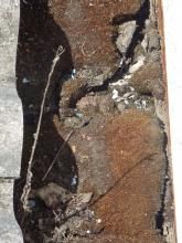 dechets vegetaux dans cheneau