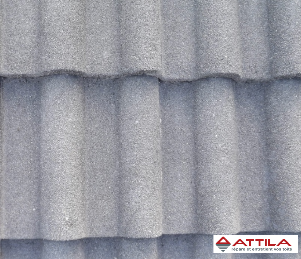 Traitement-de-toiture-77 Traitement-de-toiture-77